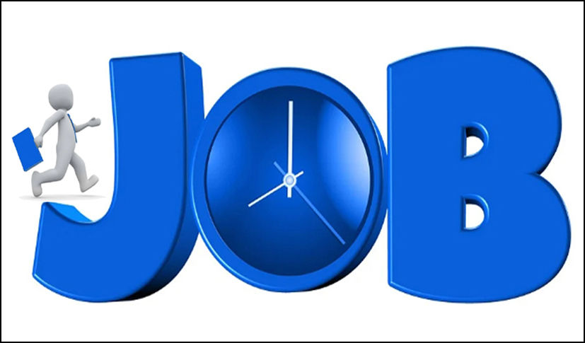 Placement camp at District Employment and Commerce Bureau today